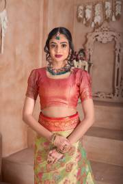 Np Saree  DN 9747A TO 9747D